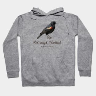 Red-winged Blackbird - The Bird Lover Collection Hoodie